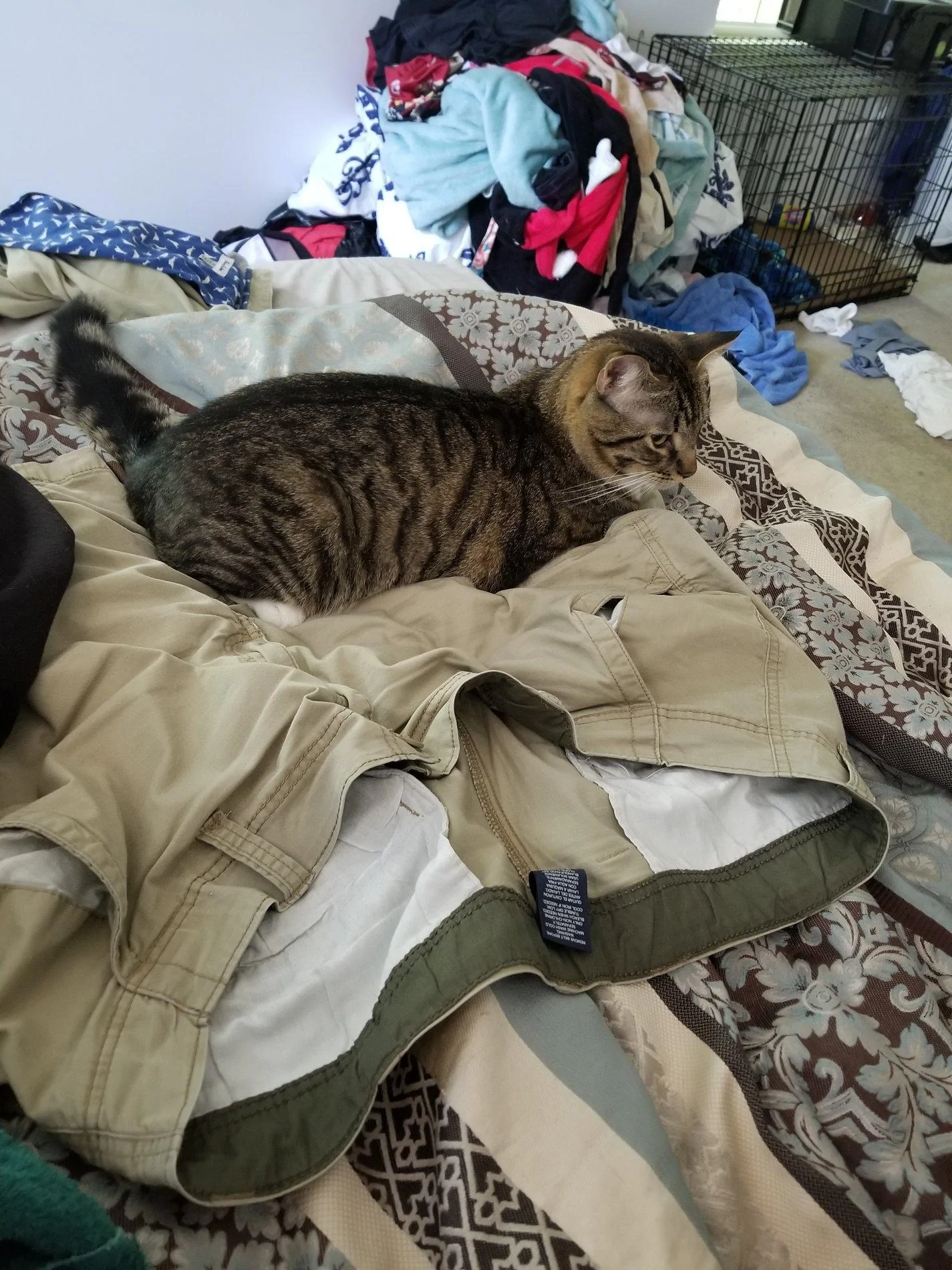 20190729_144638.webp