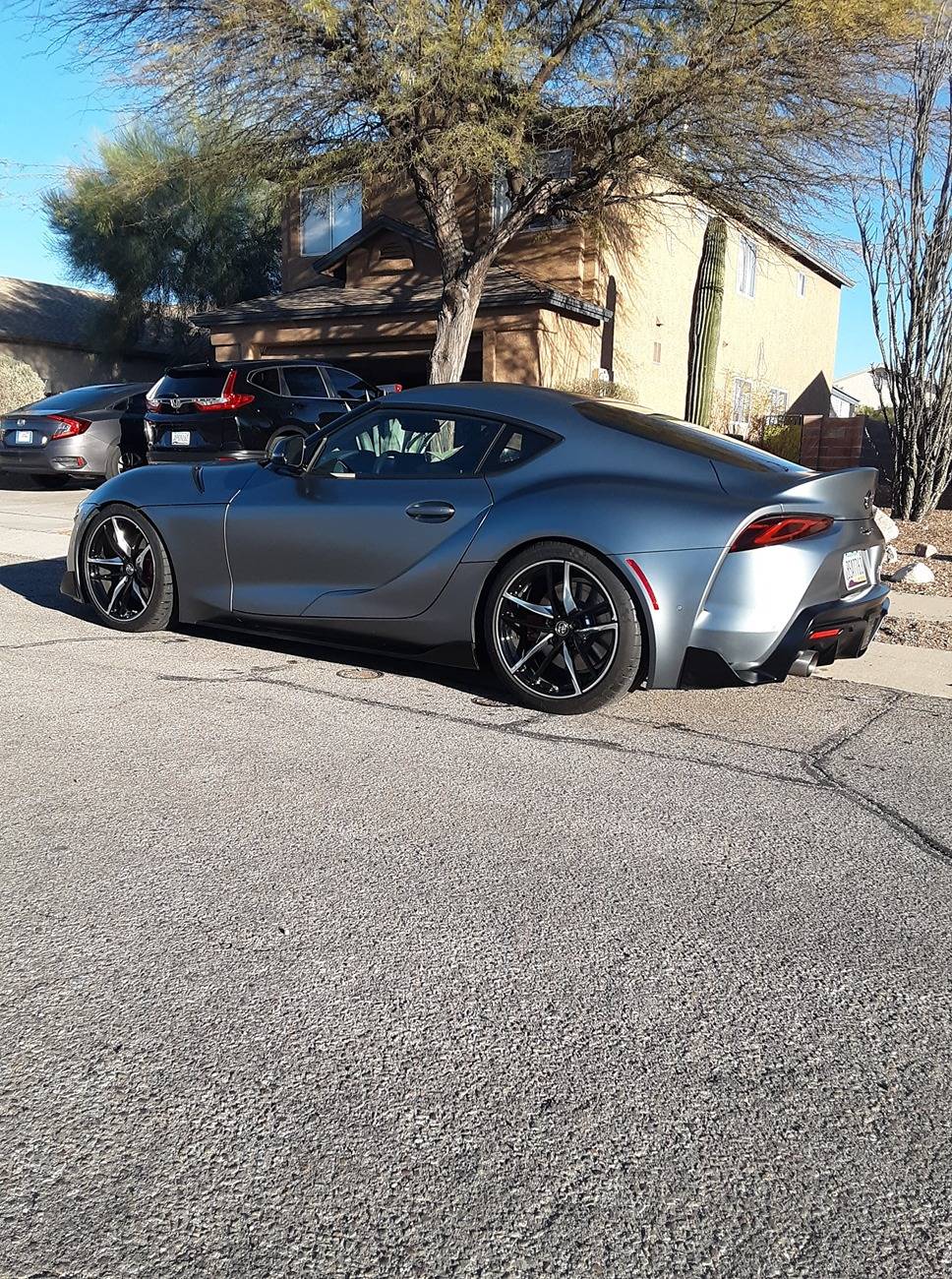 Supra back.jpg