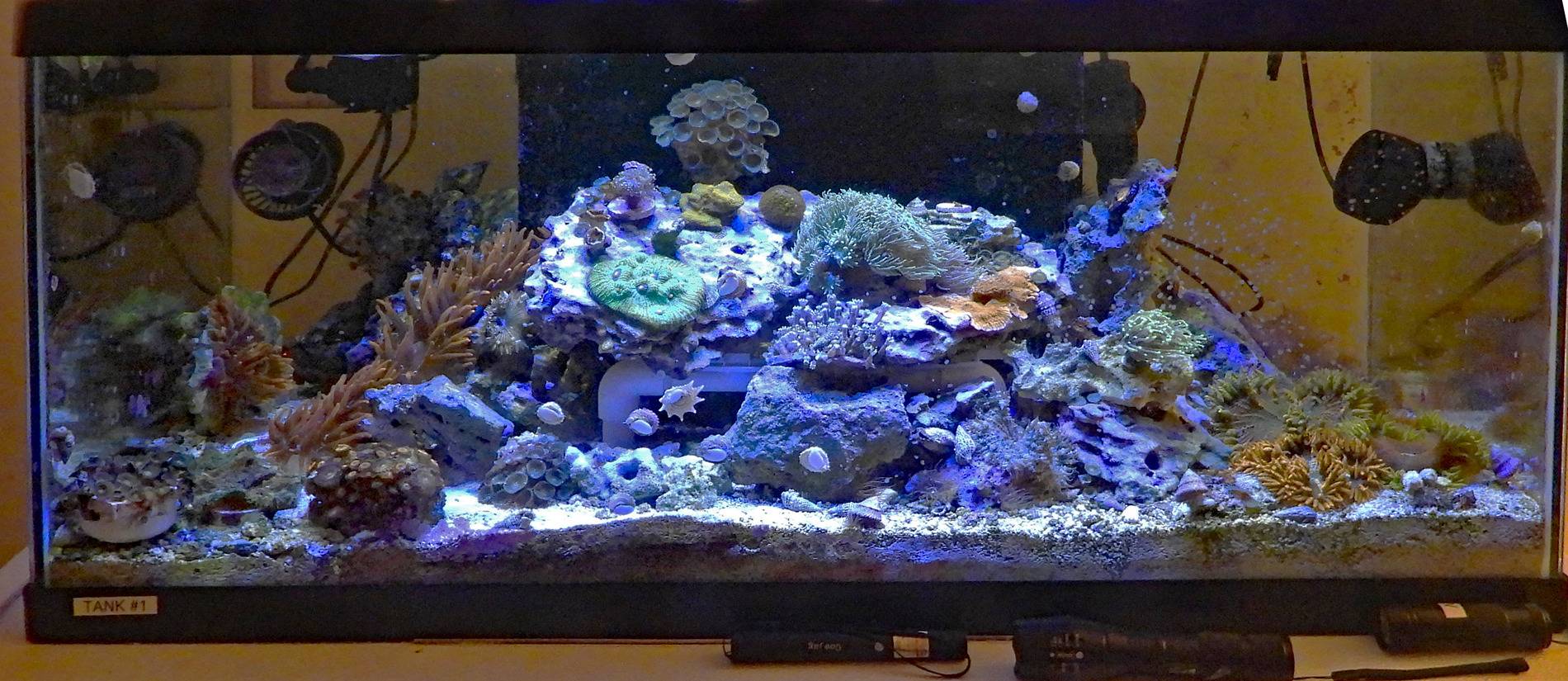 40g 2025-6-9.jpg
