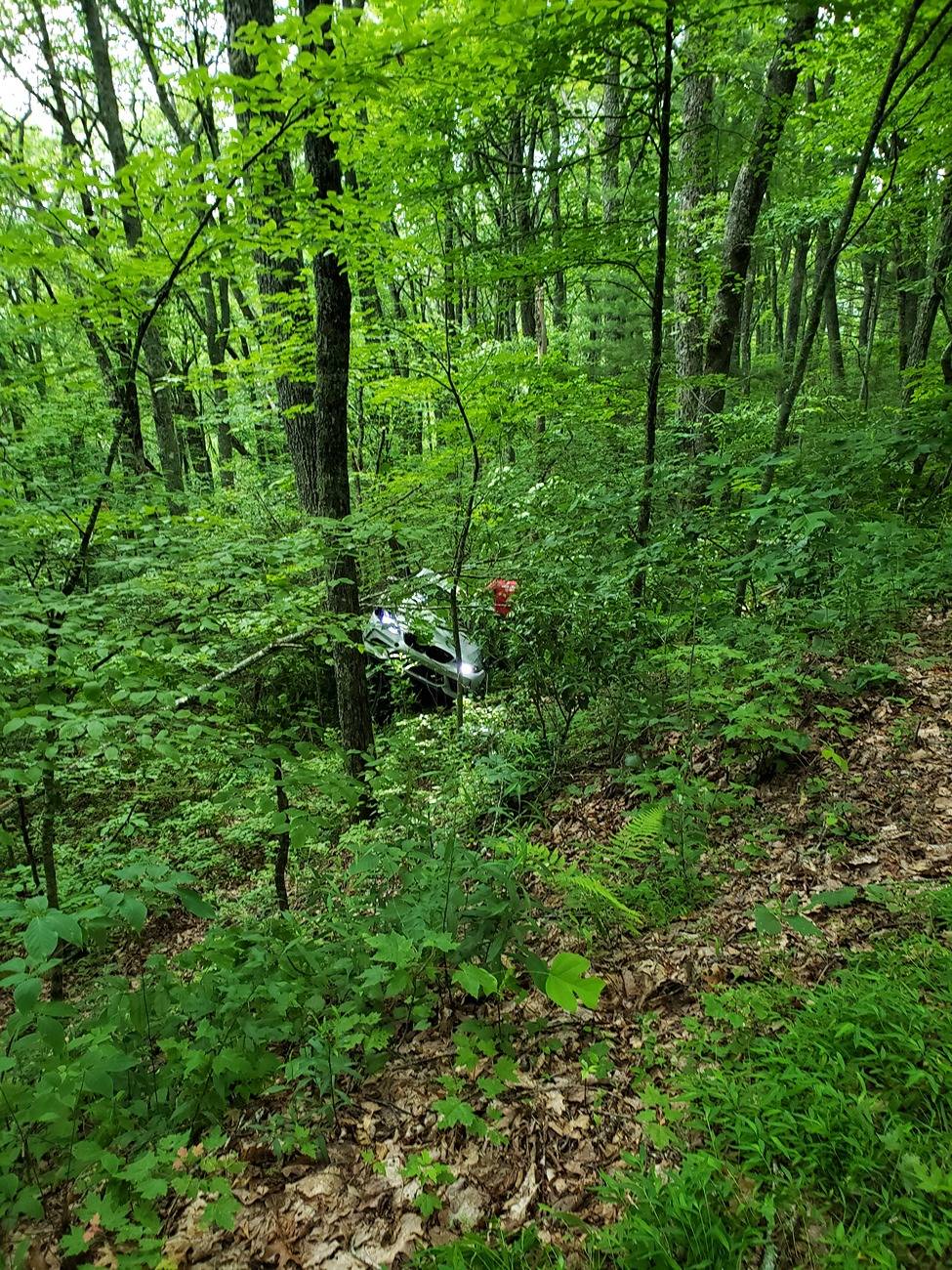 20250628_141714.jpg