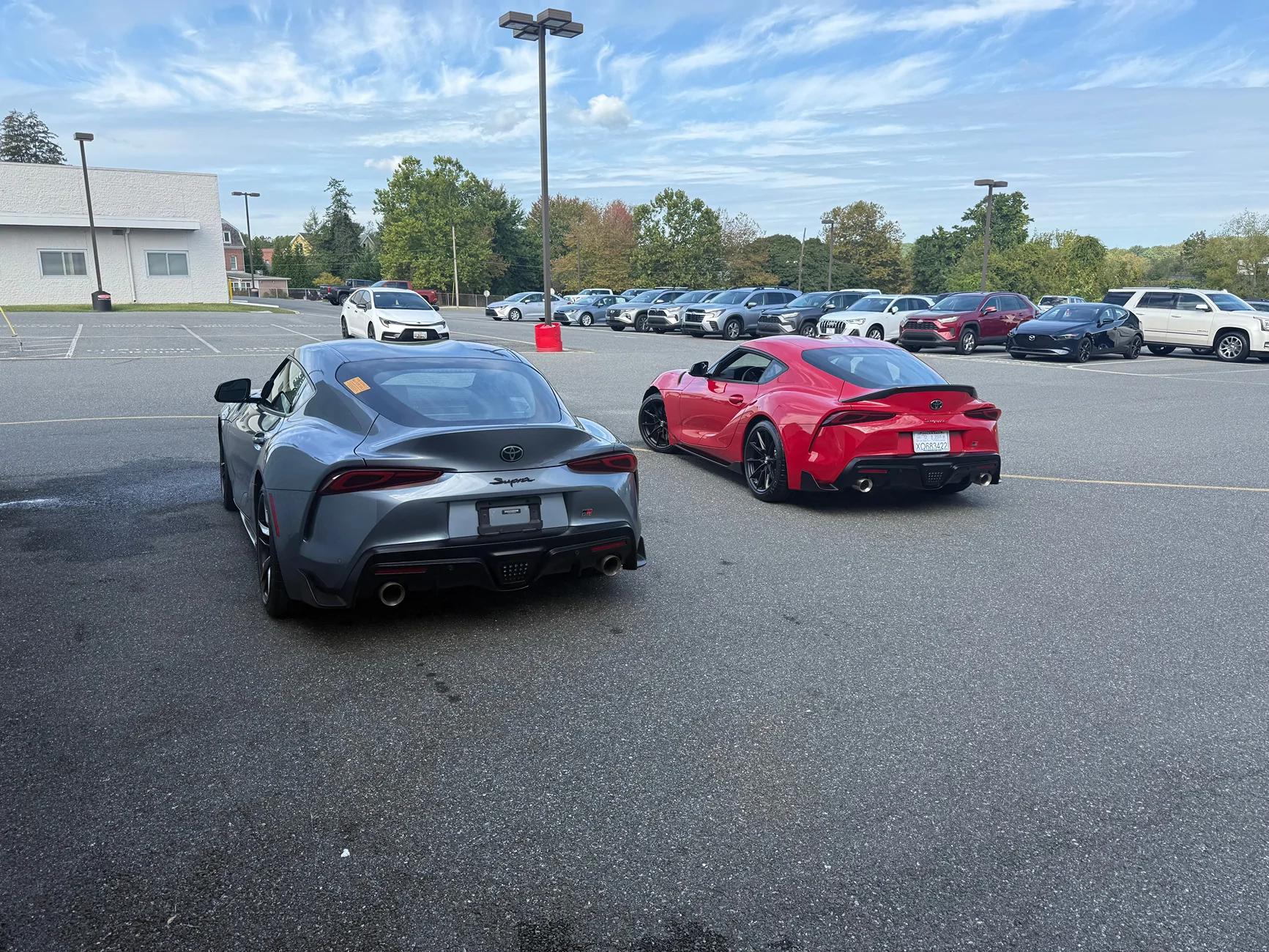 image2.webp