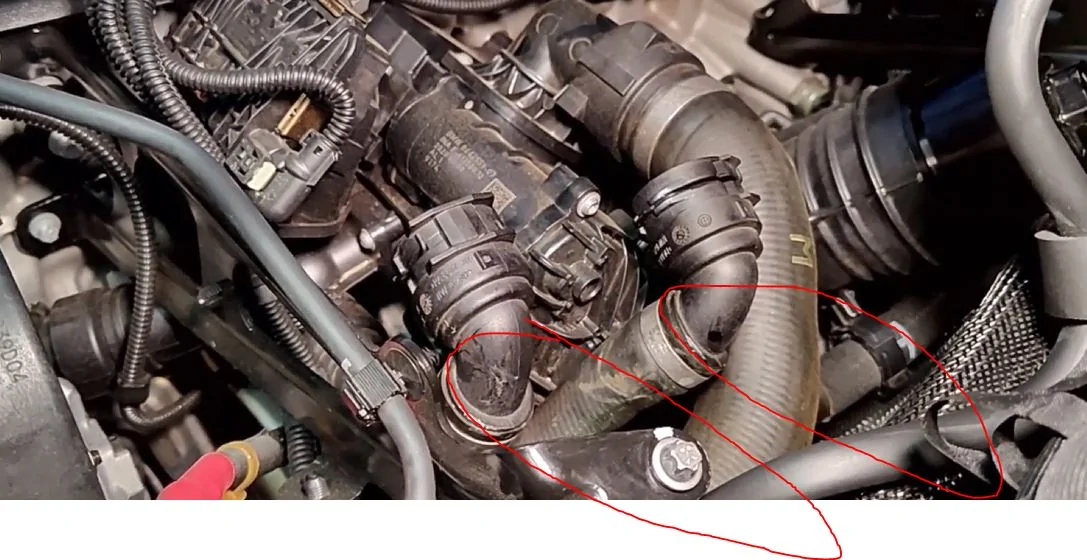 Zip Tie Loop.webp