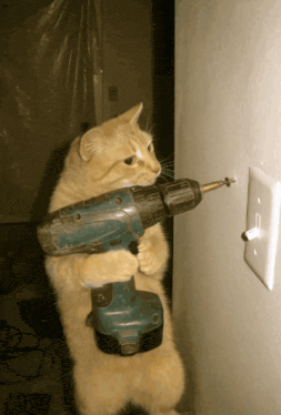 IMG_0734.gif