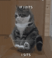 haha-cute.gif