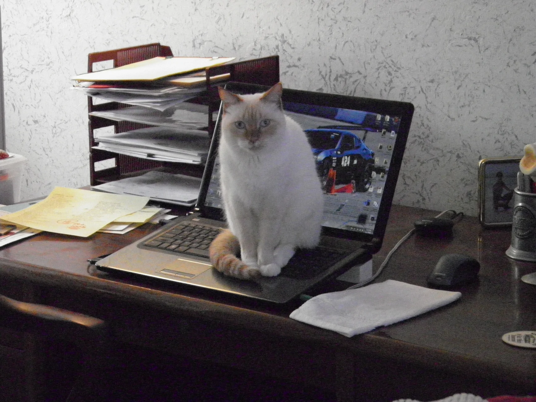 0448 P1010060.webp