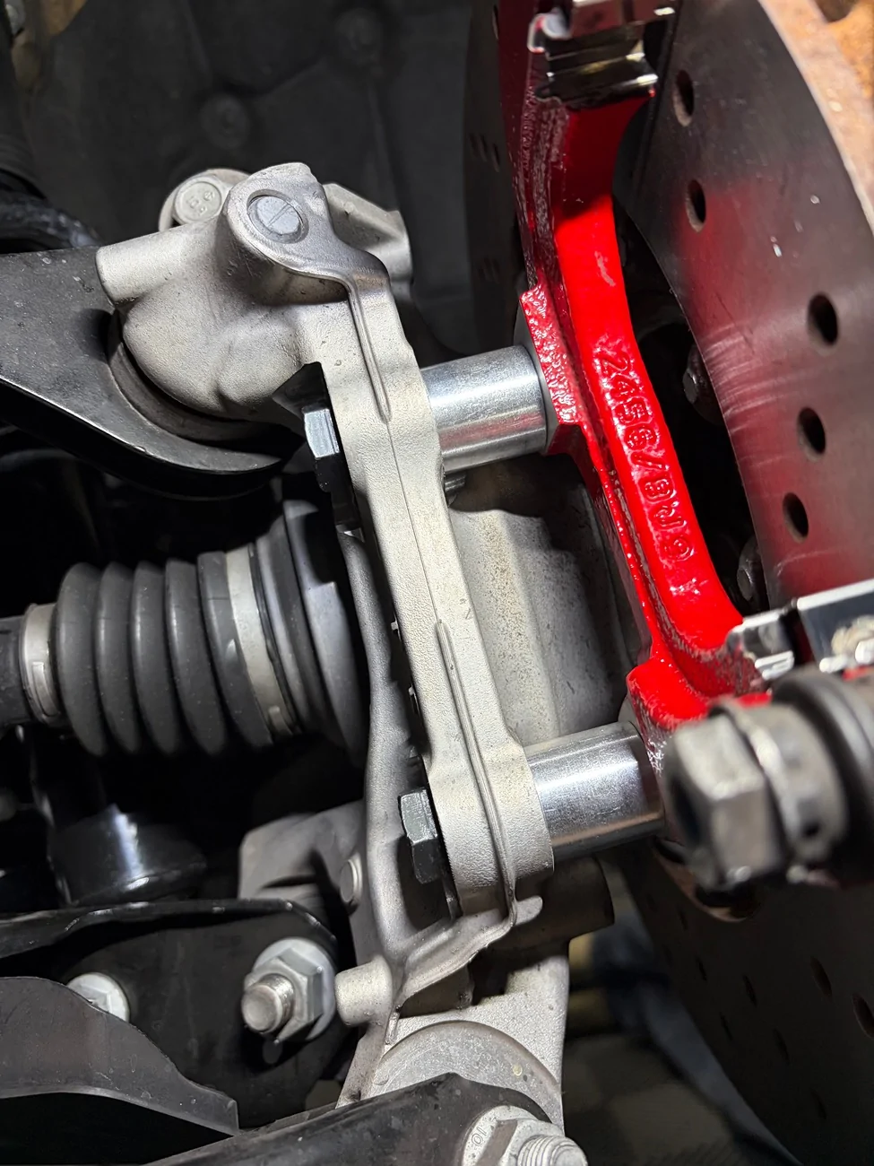 IMG_1317.webp