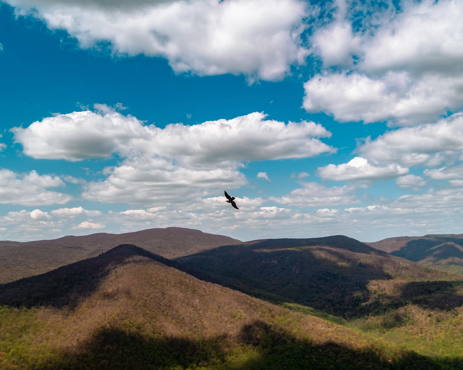 _DSC4272-2.webp