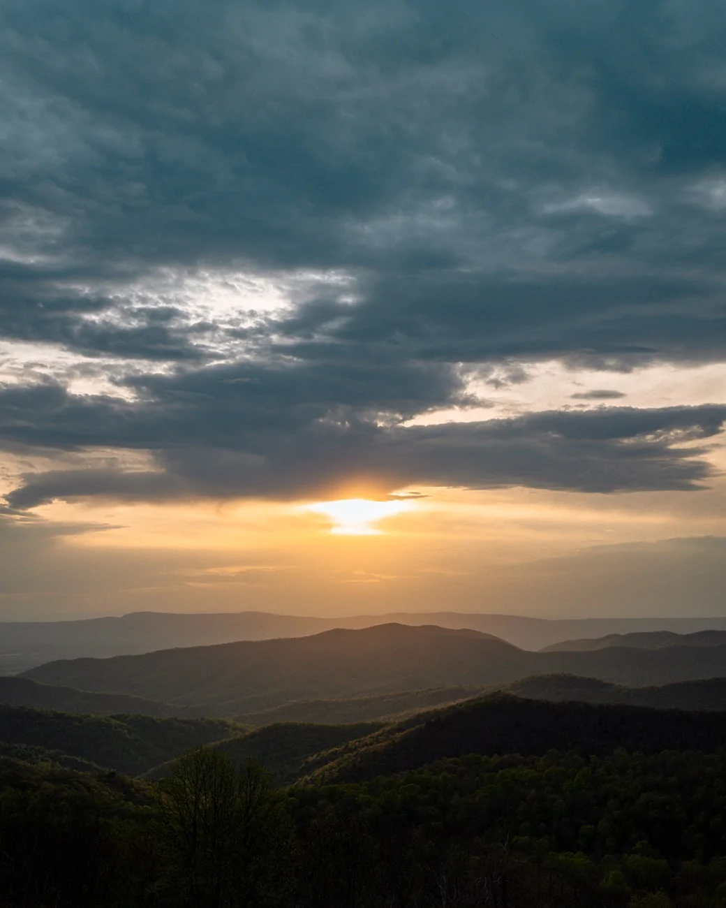 _DSC4397.webp