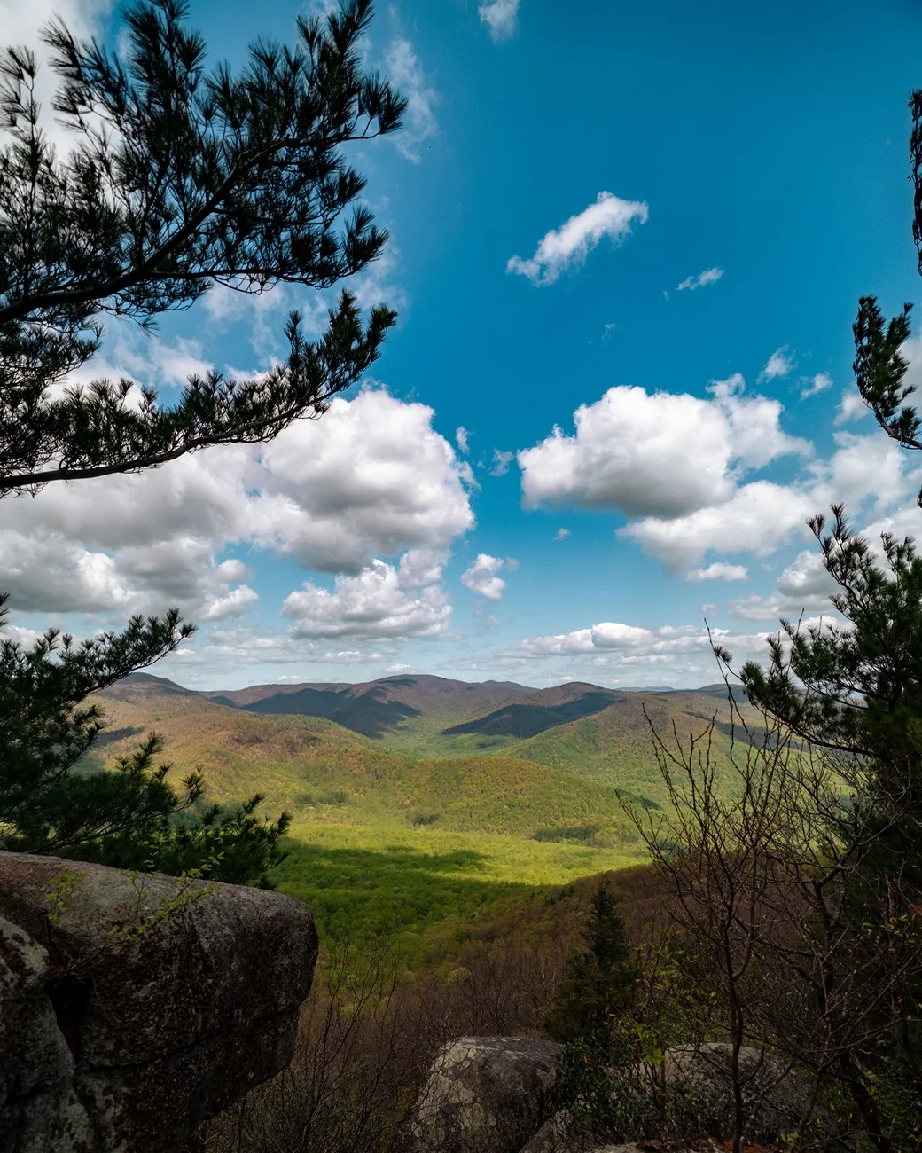 _DSC4188.webp