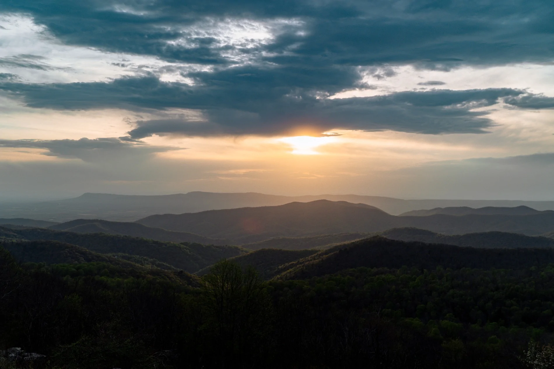 untitled-4394.webp