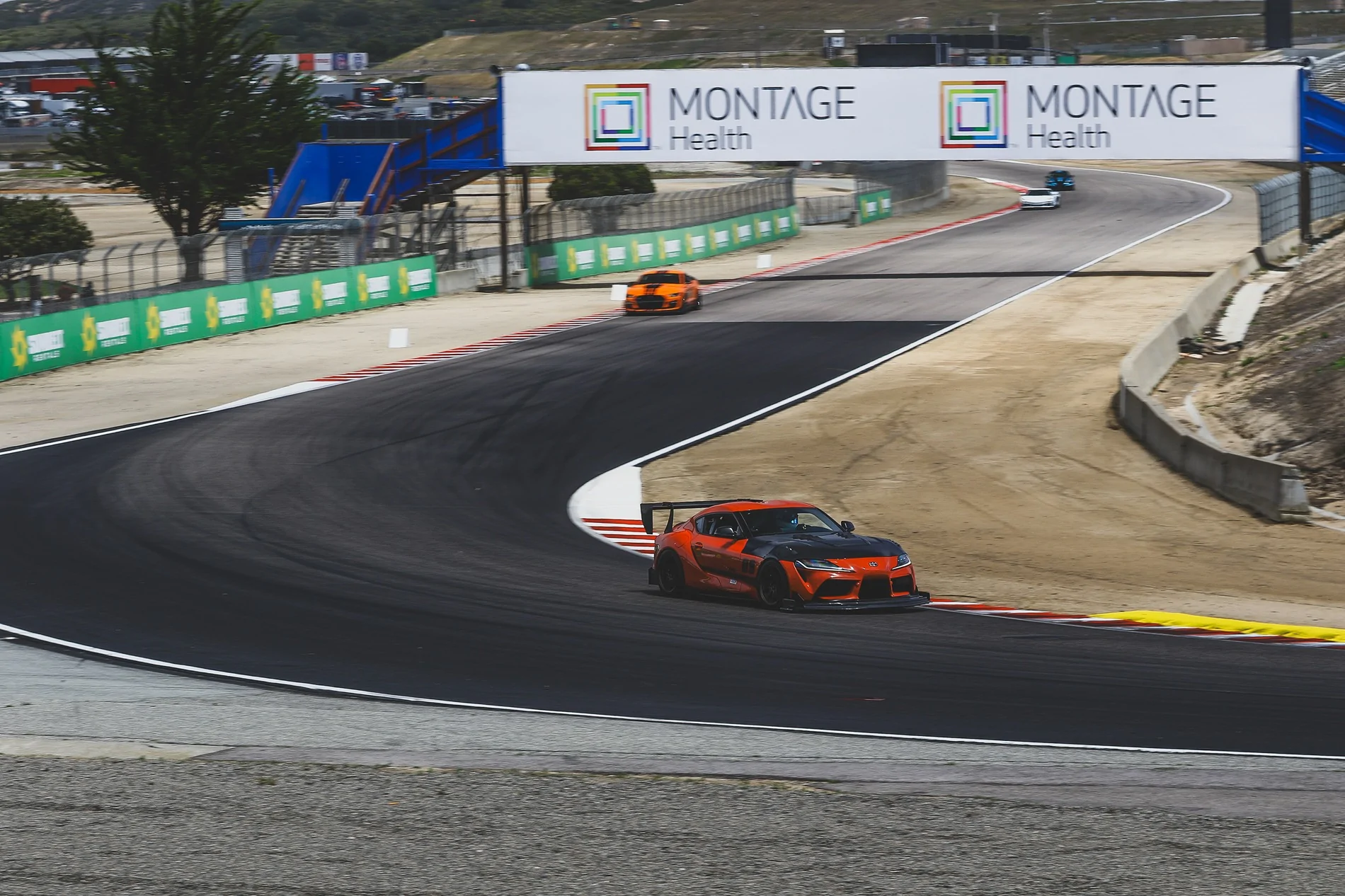 Black - Session 2 (Turn 5) - CP1_8610_May3026_1055AM_CaliPhoto.webp
