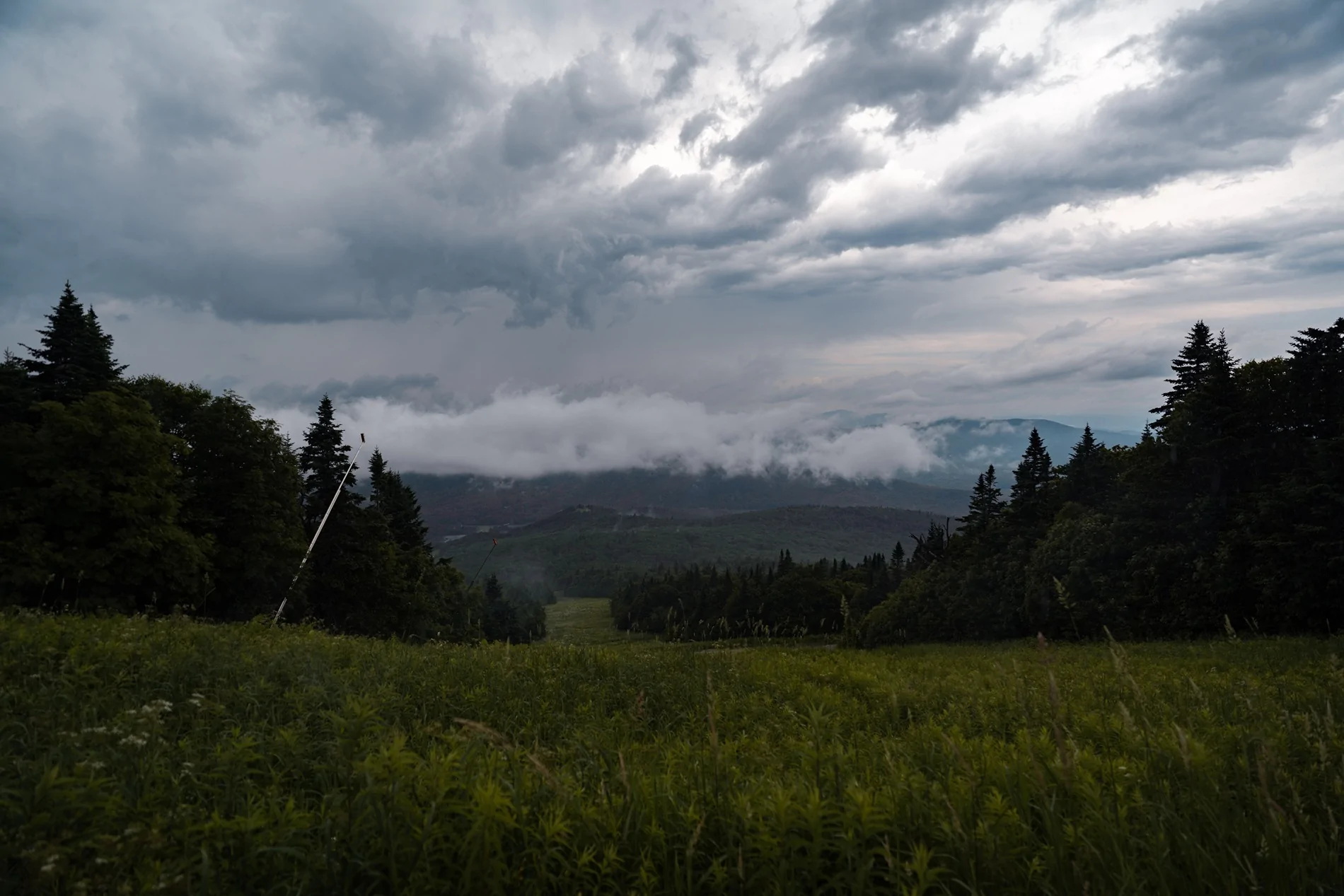 untitled-9832.webp