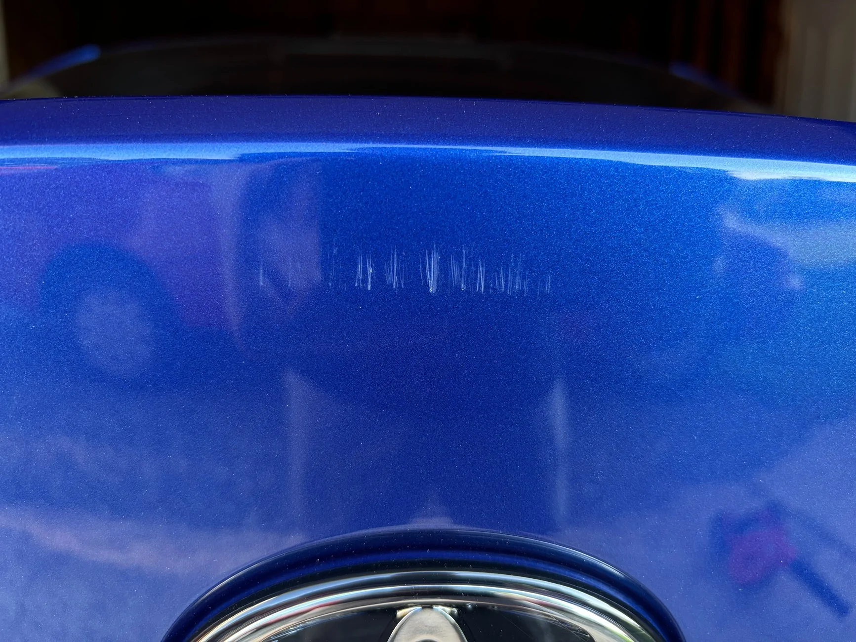 IMG_1805.webp