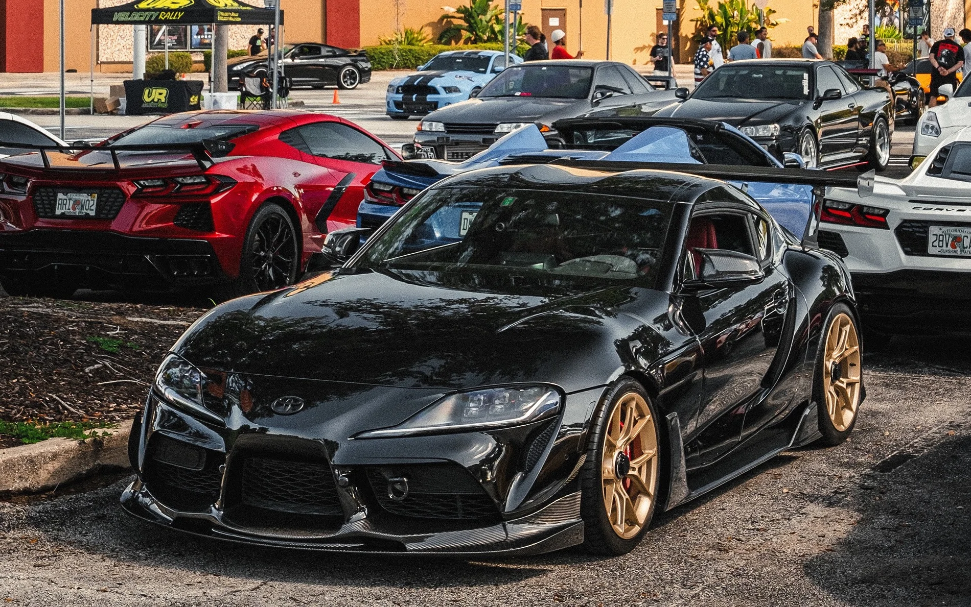 Supra 1.webp