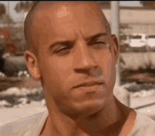 IMG_1344.gif