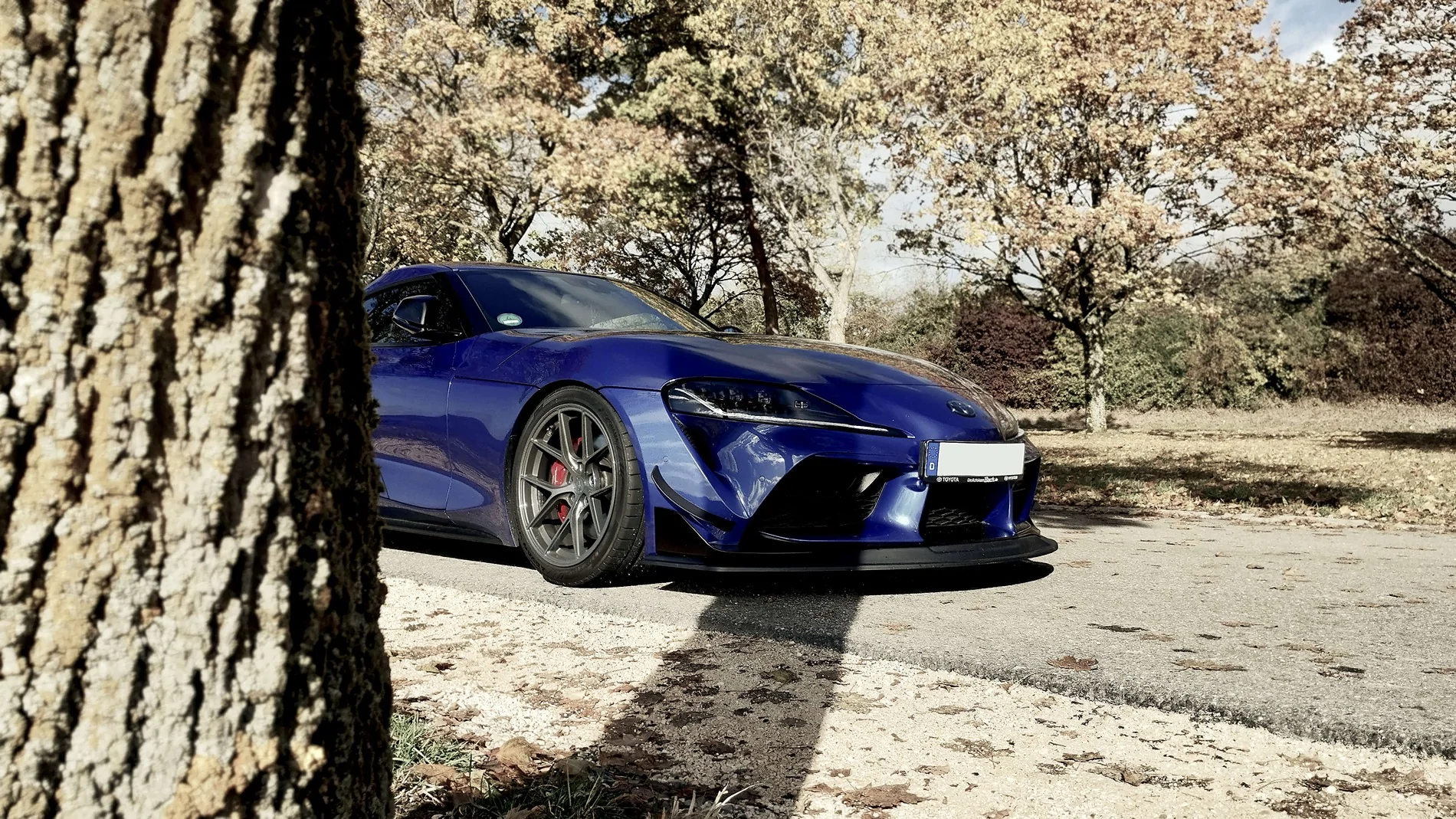 Supra26.webp