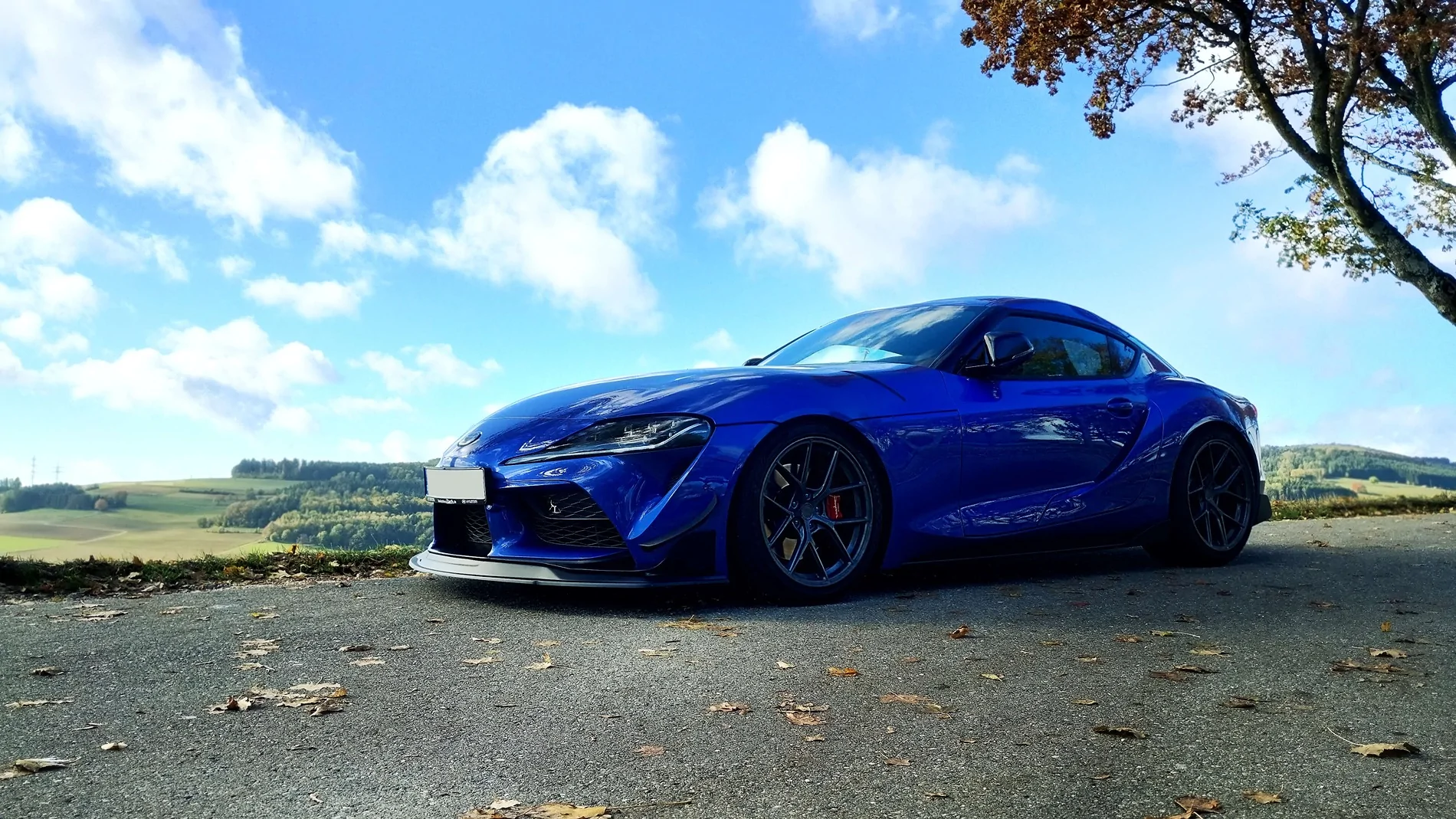 Supra25.webp
