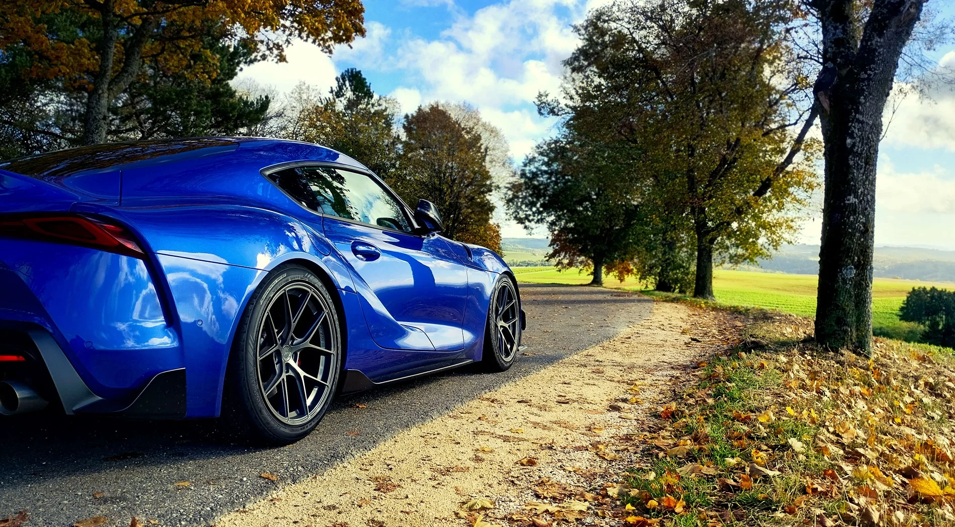 Supra29.webp