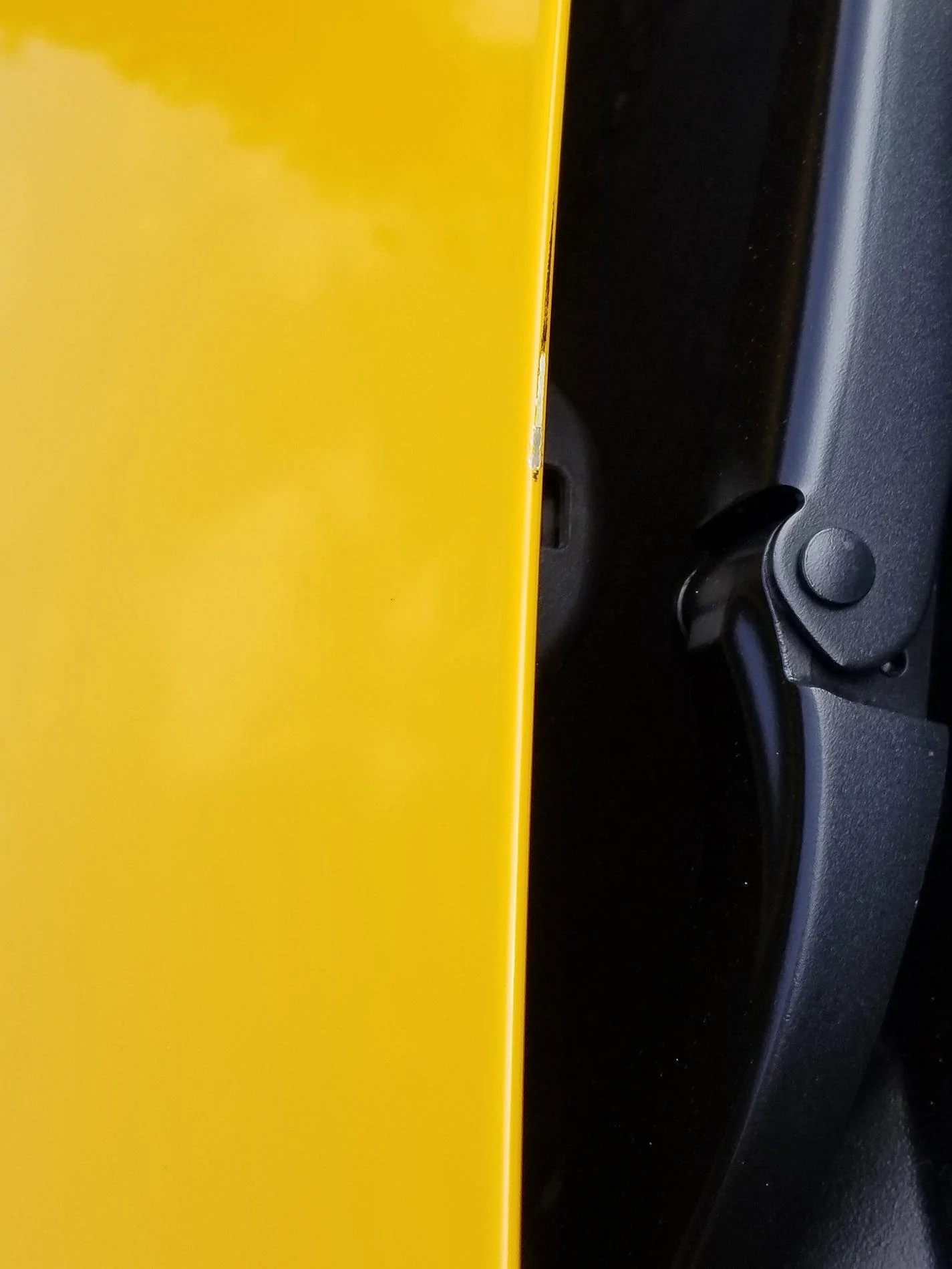 Hood_Rear_1.webp
