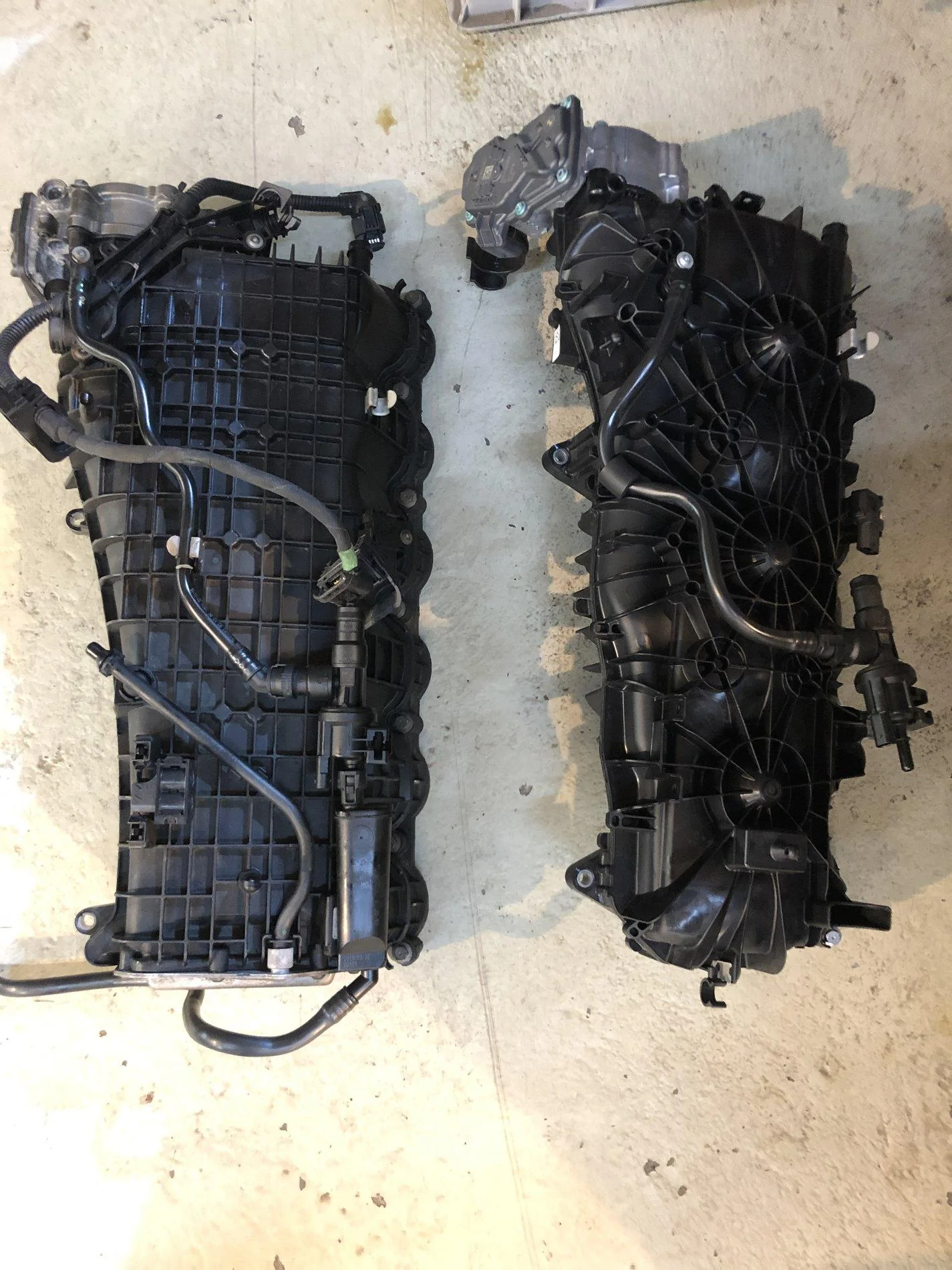 image0 (3).webp