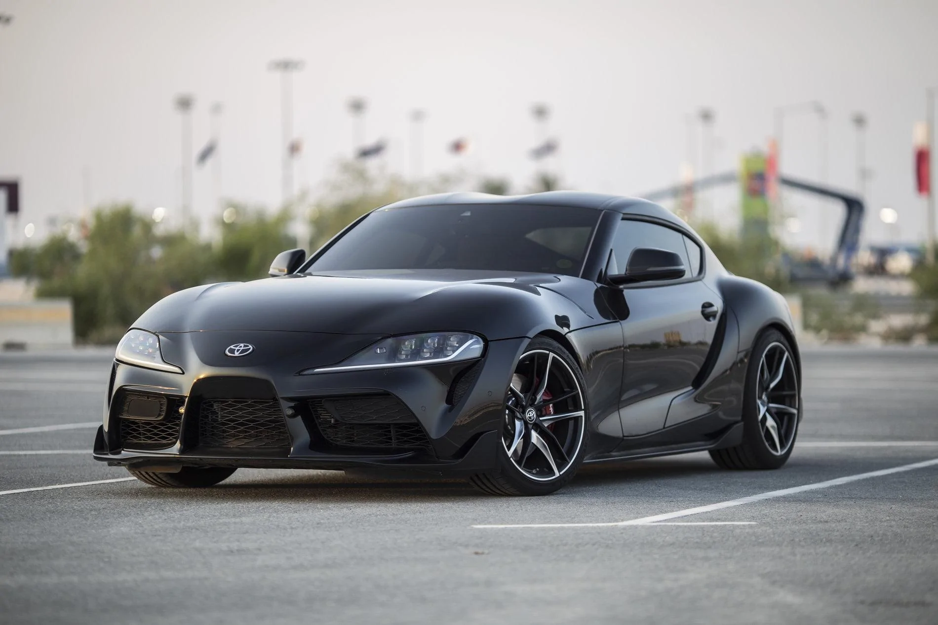 Supra_2.webp