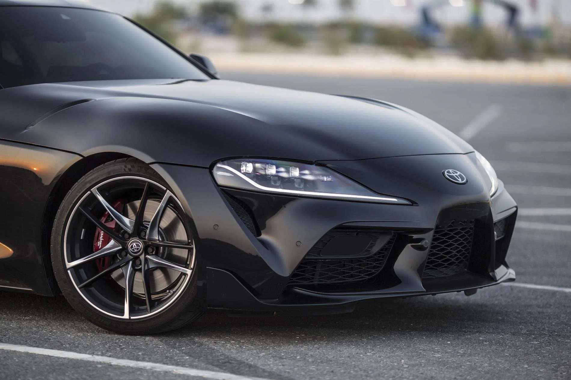 Supra_4.webp
