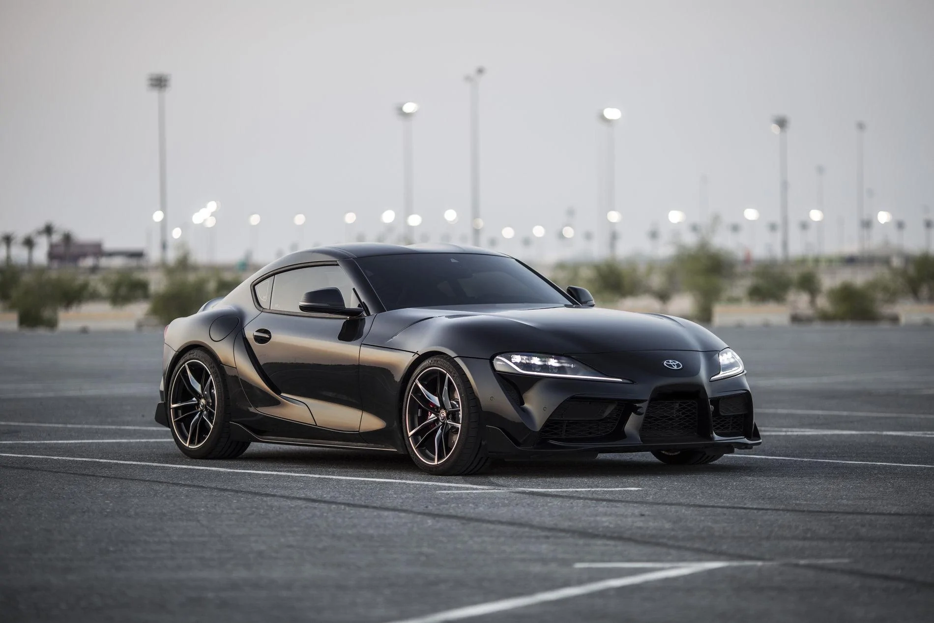 Supra_5.webp