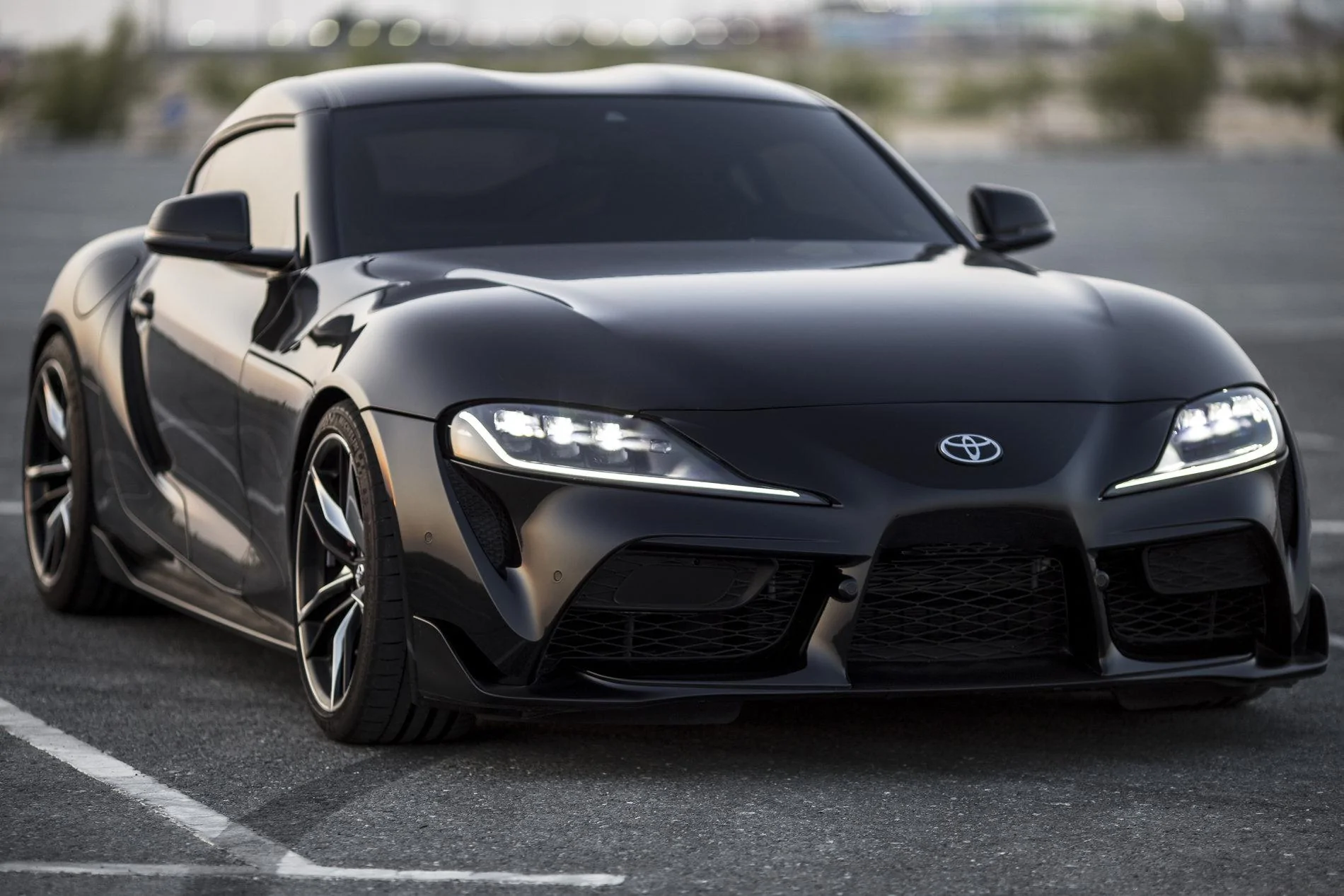 Supra_6.webp
