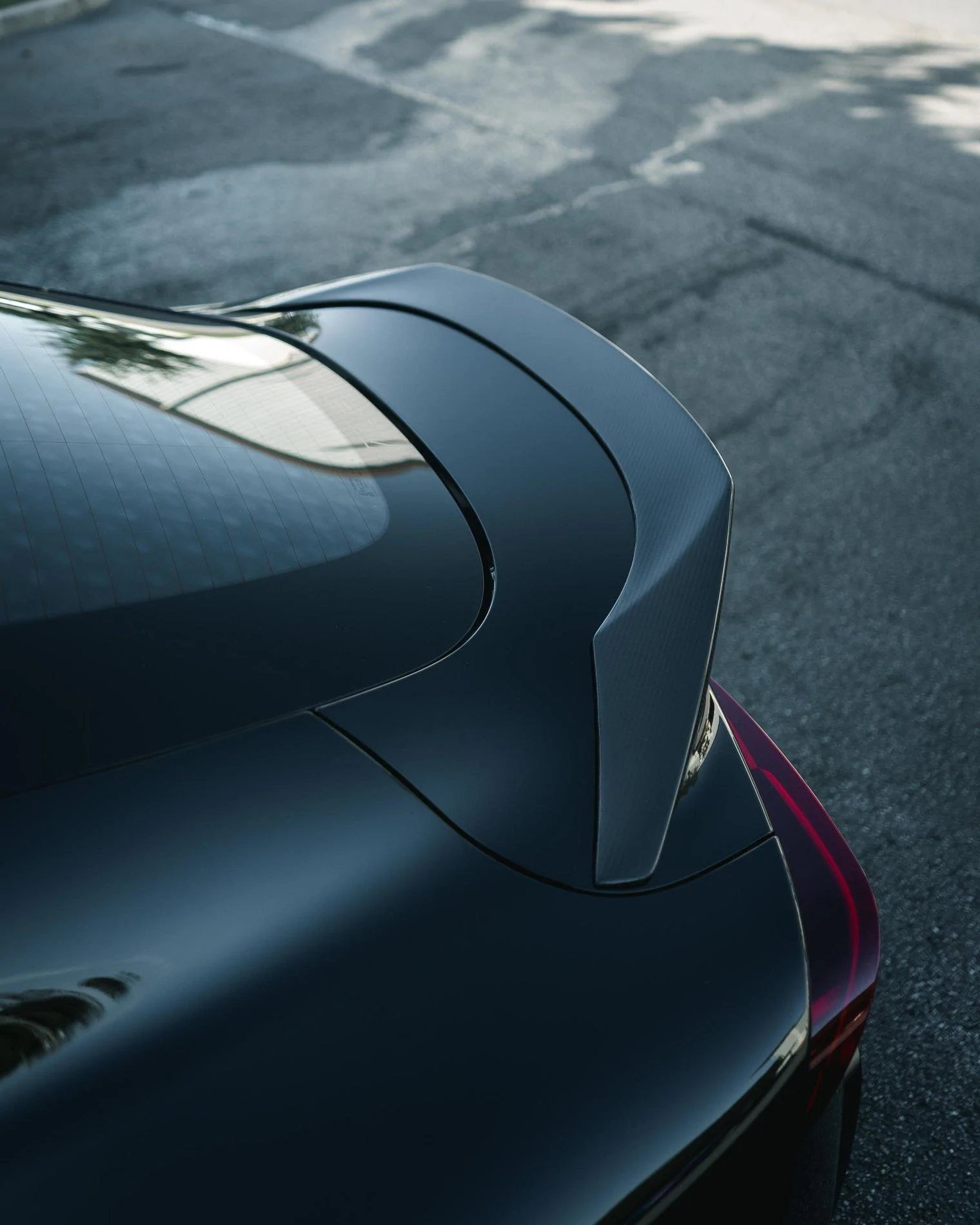 Rex Ts01-6.webp