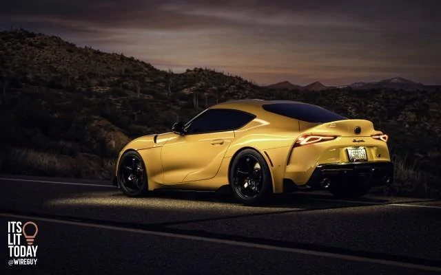 Loki-yellow-supra-POST.webp