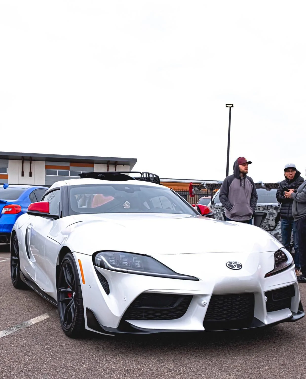 Supra1.webp
