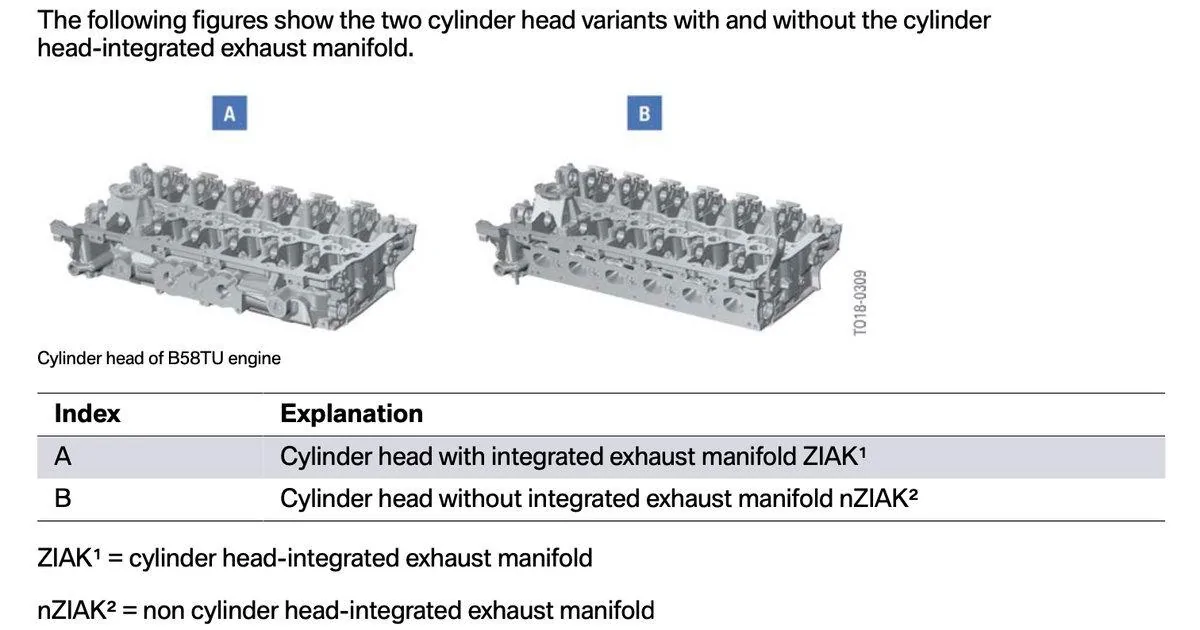 Heads.webp