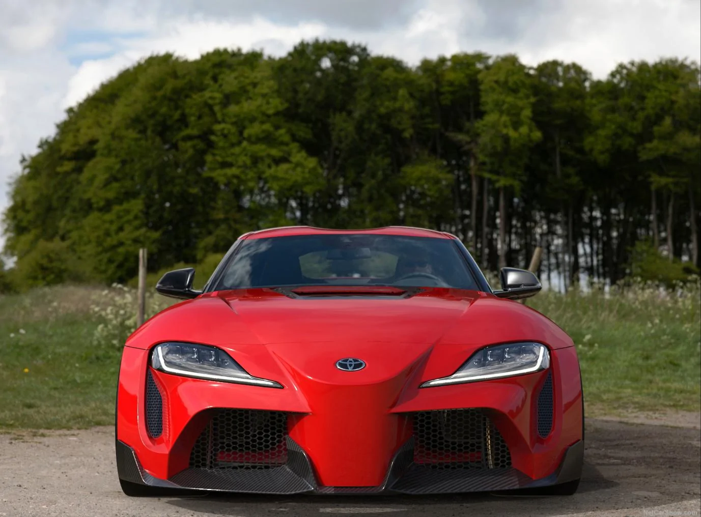 red.webp