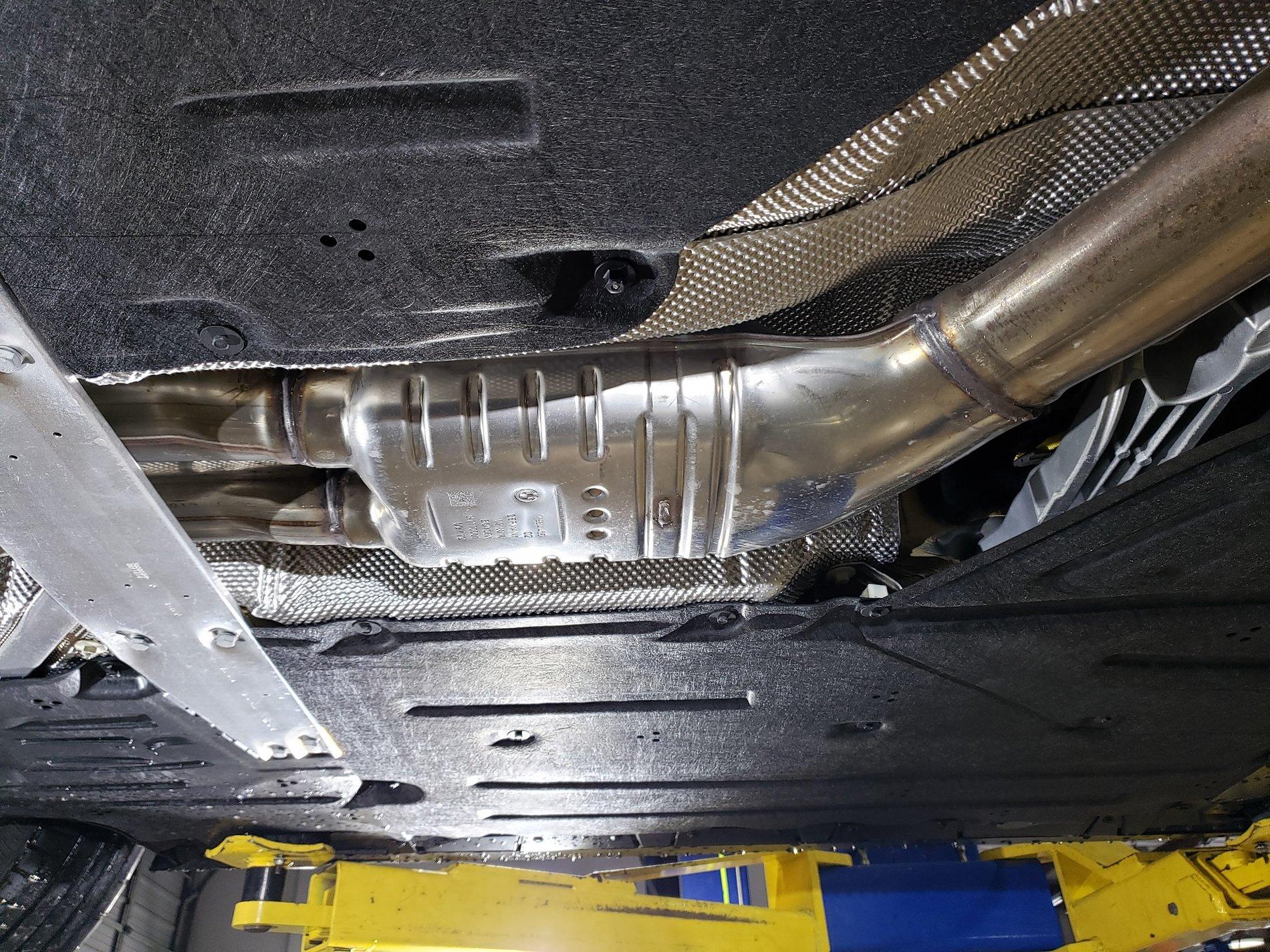 Stock collector.jpg