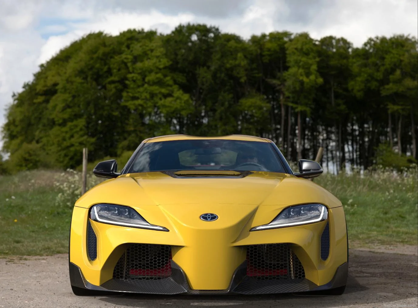 yellow.webp