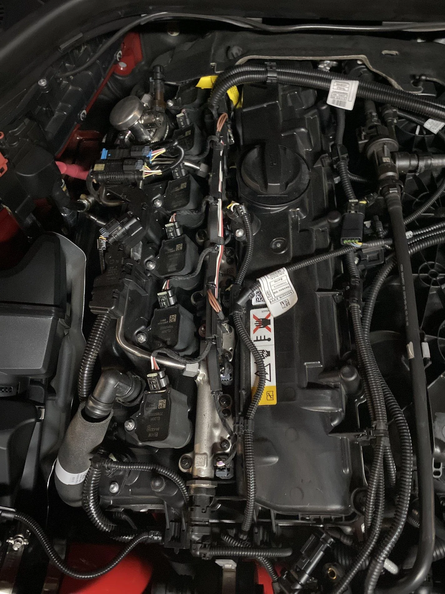 image.webp