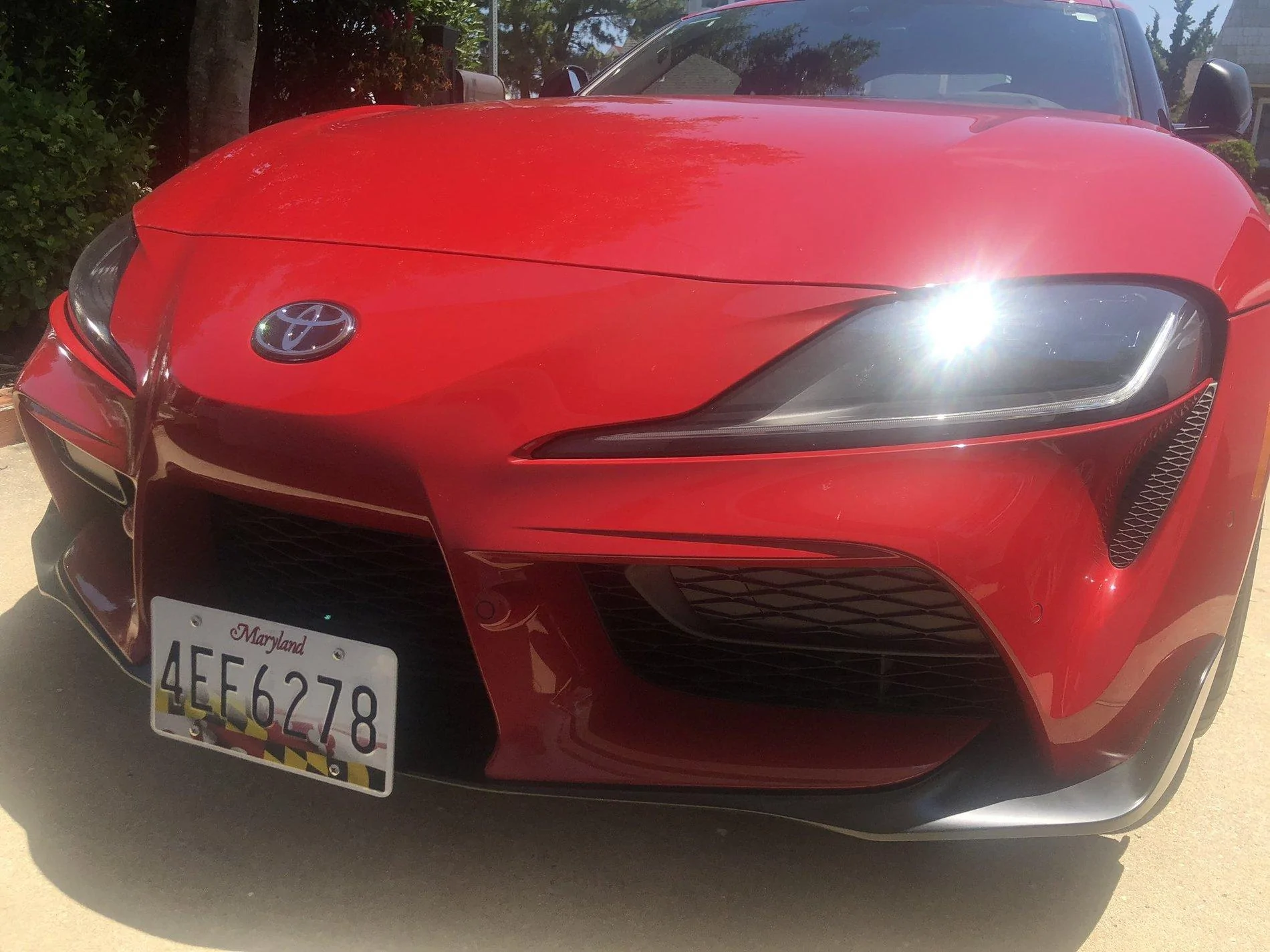 plate.webp