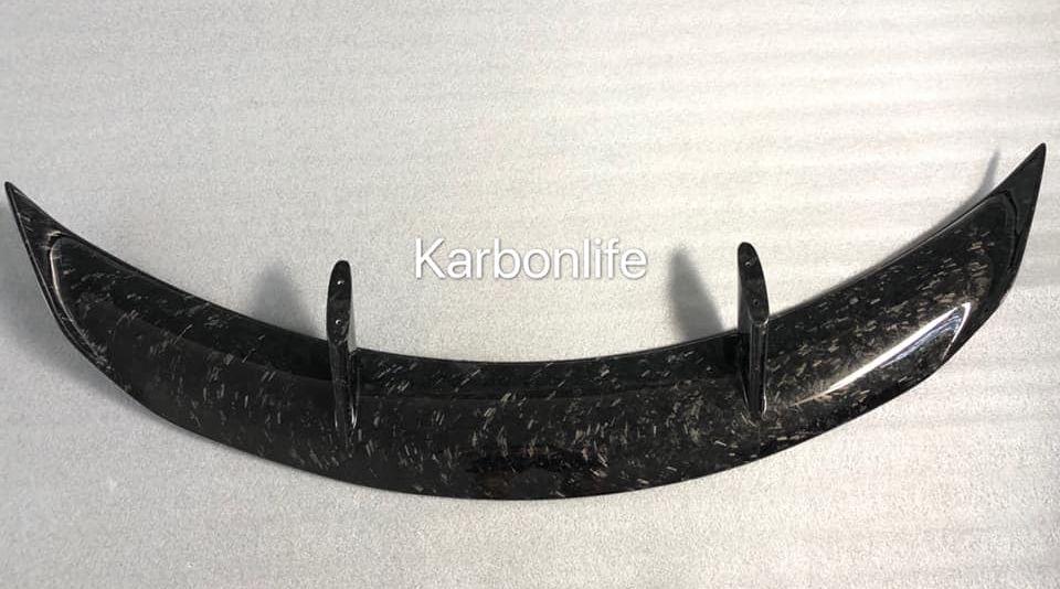karbonlife wing 2.jpg