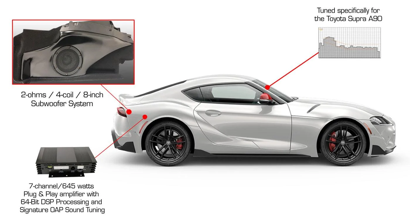 Supra_Anatomy.webp