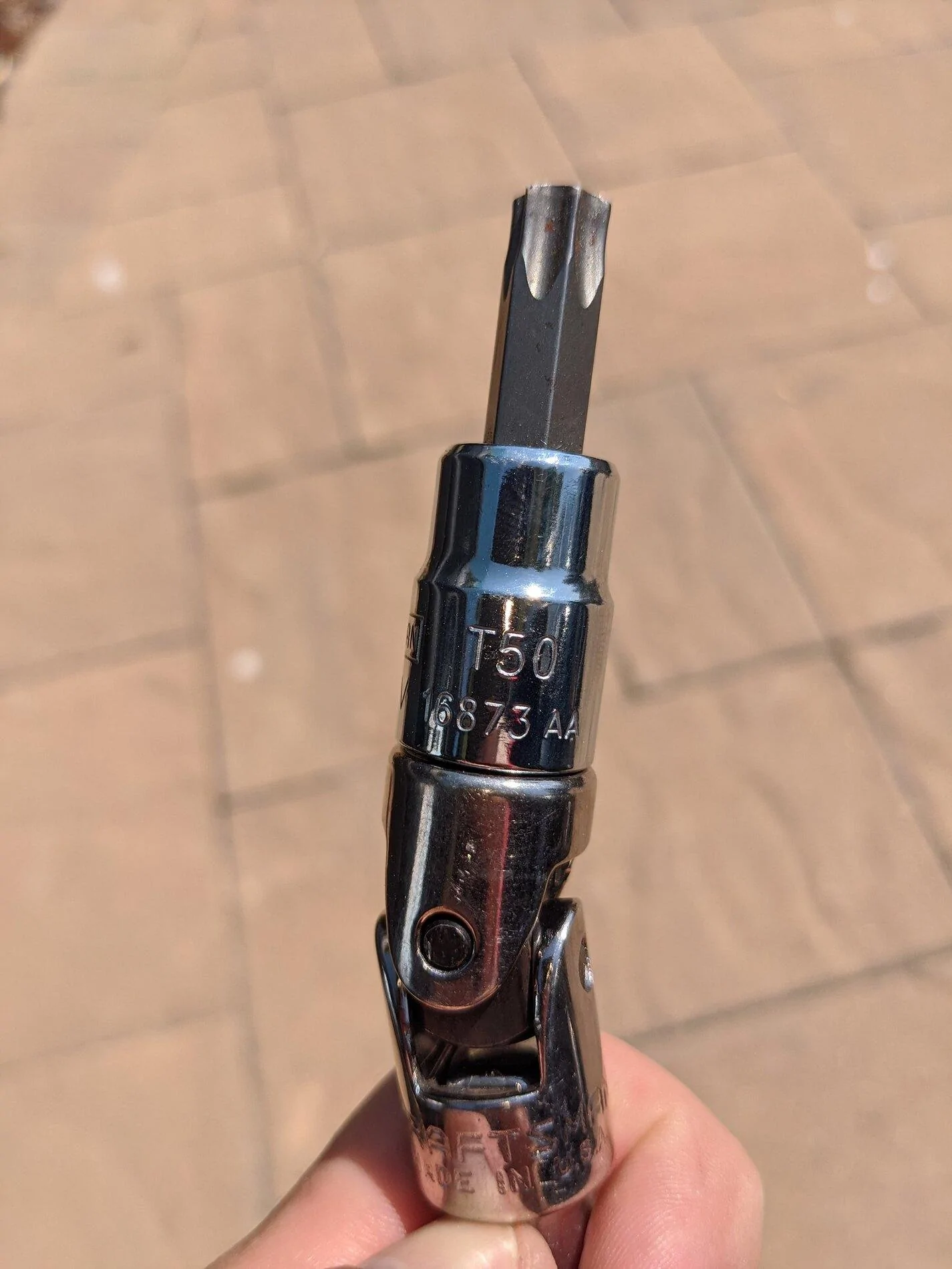 50302564806_adbd349607_k.webp