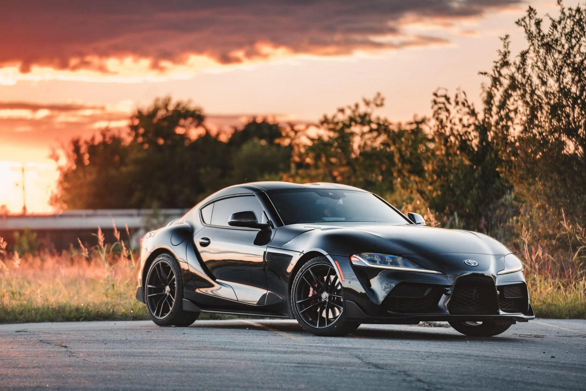 SUPRA2.webp