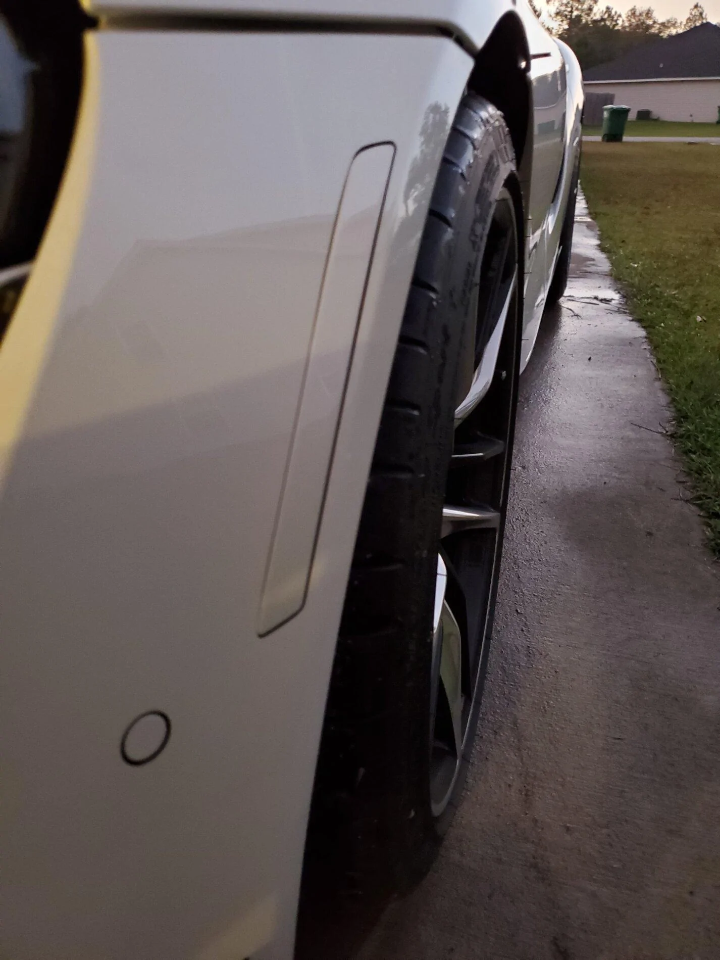 Driver Front Paint Matched Deflector.jpg