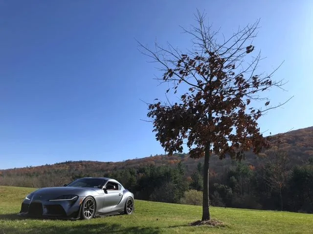 LR2.JPG