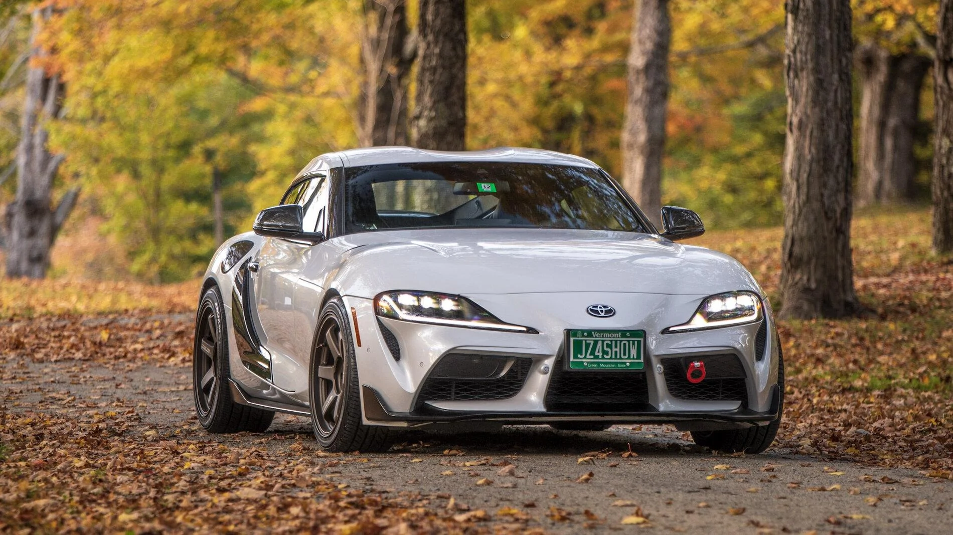 supra fall closer shot1.jpg