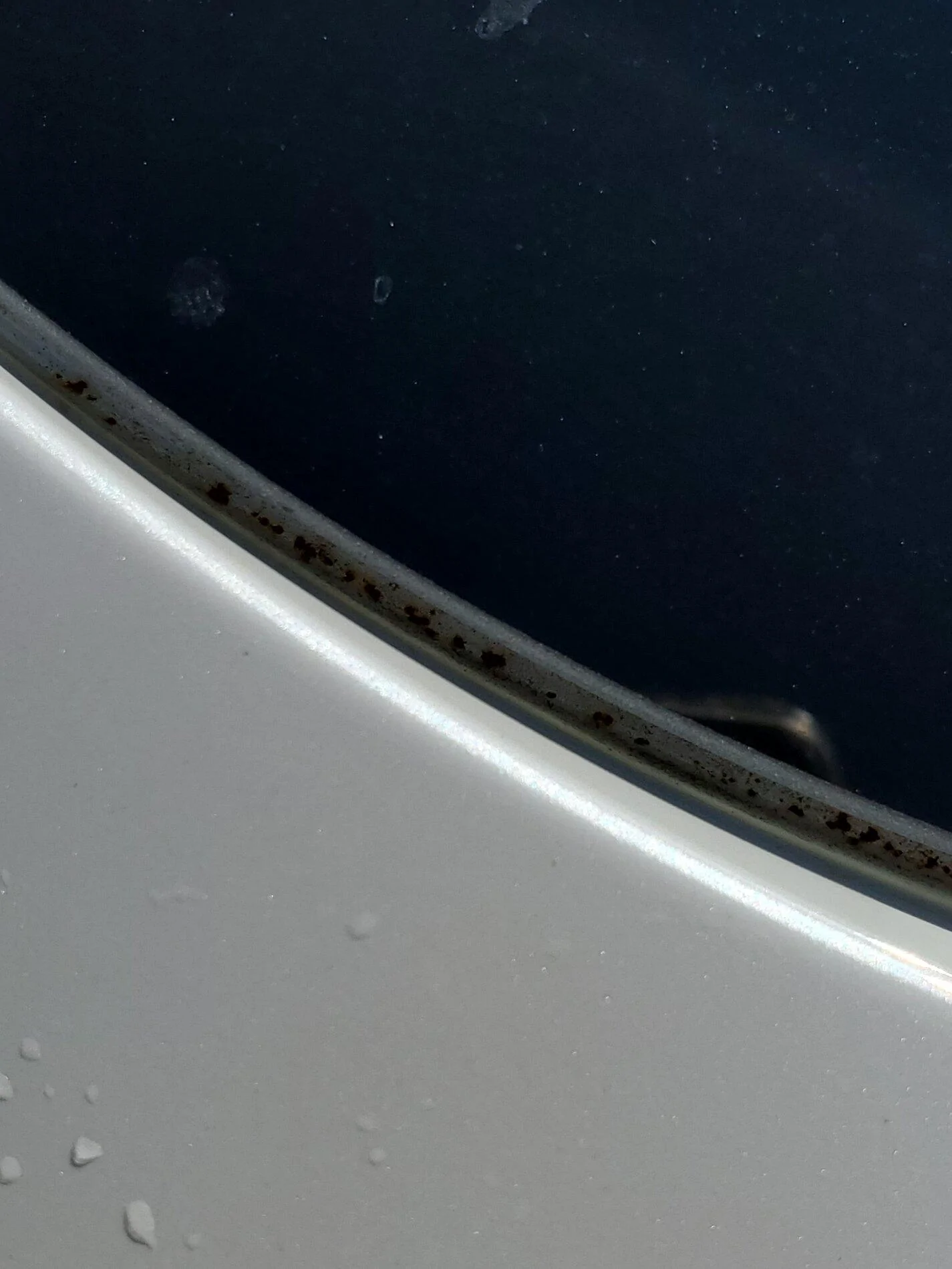 left side rear.jpg