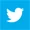TwitterSquare30.webp