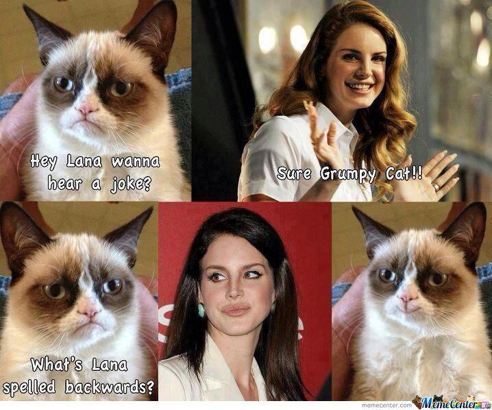 grumpy cat.jpg