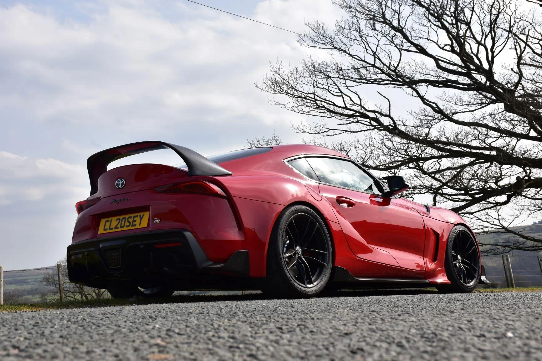 DSC_0315-2.JPG