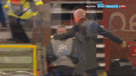 ImpishTameEchidna-max-1mb.gif
