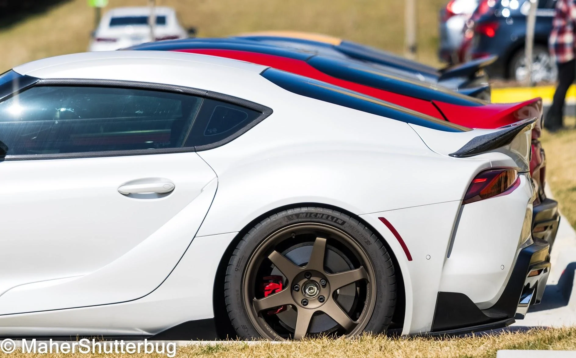 1K6A2494.webp